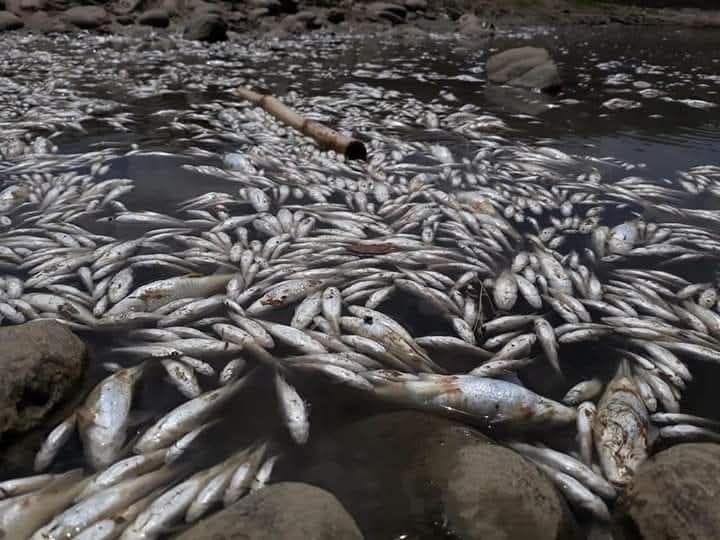 منظمة البراري تحذر من مخاطر الصيد بالديناميت على الحياة البحرية والأمن الغذائي