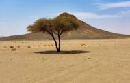 قليب فرجان .. معلم طبيعي وتاريخي بضواحي سوكنة