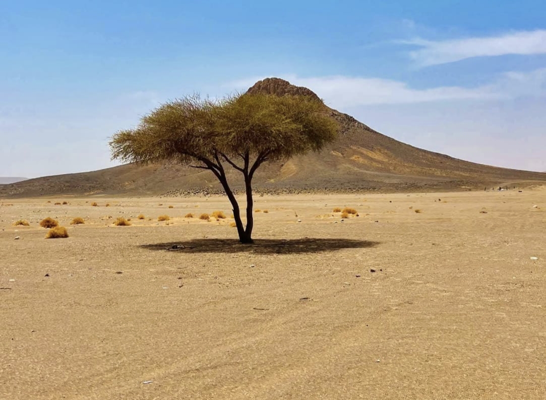 قليب فرجان .. معلم طبيعي وتاريخي بضواحي سوكنة