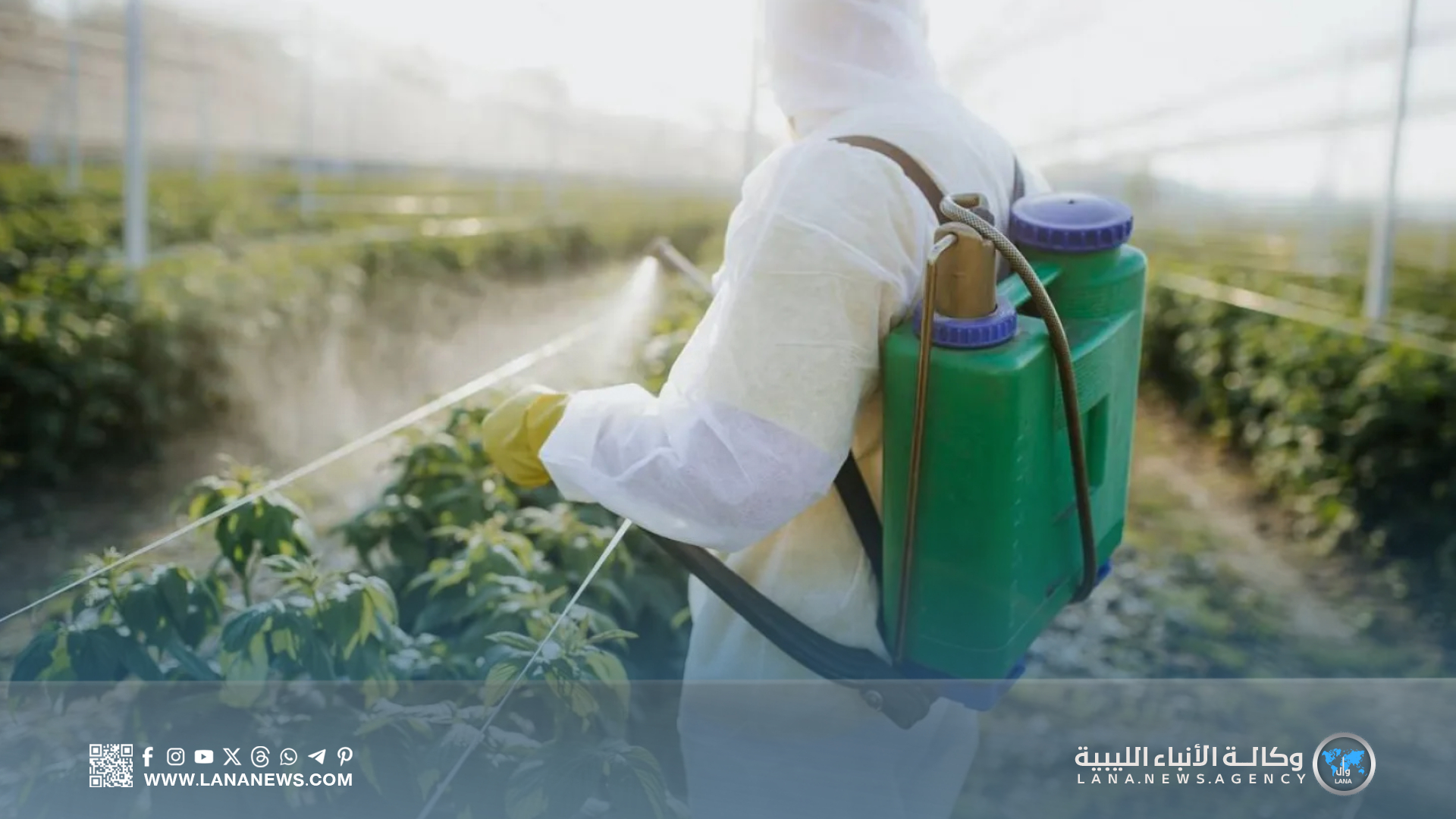 الغذاء والمبيدات العشوائية خطر صامت يهدد صحة الجنوب