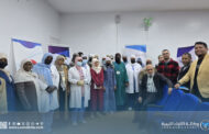 وادي الآجال تختتم لقاء عمل حول الوقاية من انتقال العدوى من الأم إلى الطفل