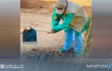 حملة بيئية بجامعة بنغازي لتعزيز الاستدامة وزيادة الغطاء النباتي