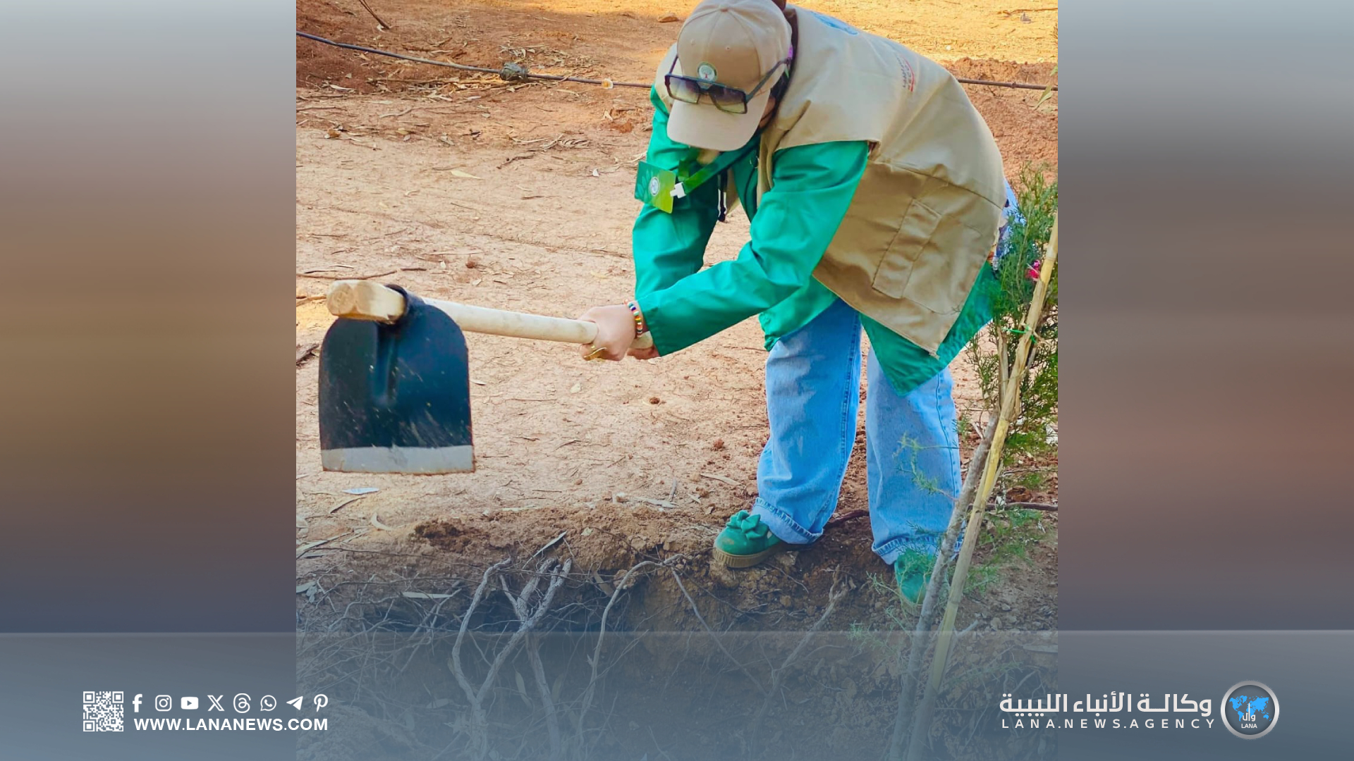 حملة بيئية بجامعة بنغازي لتعزيز الاستدامة وزيادة الغطاء النباتي