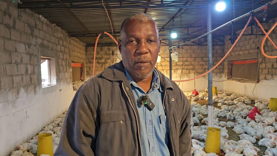 بلدية تراغن تخلو من أي إصابات بمرض نيوكاسل