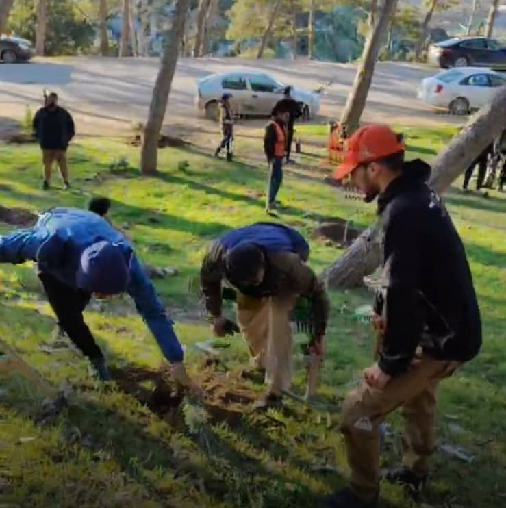 جمعية الصنوبر تنجز مبادرة تشجير لموقع حيوي في مدينة شحات