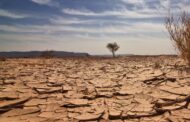 تغيّر المناخ والجفاف يهددان سبل العيش في جنوب البلاد