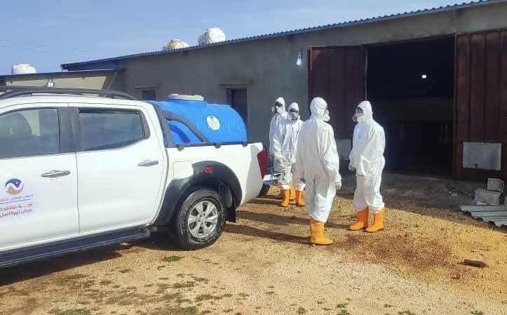 وزارة الزراعة تطلق حملة لتعقيم حظائر الدواجن المصابة بمرض النيوكاسل