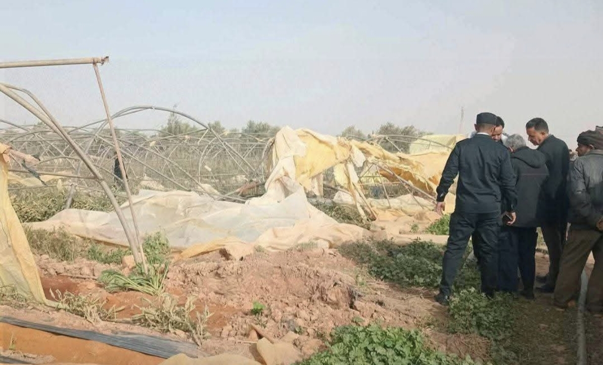 وزير الزراعة يوجّه بتقييم خسائر المزارعين المتضررين من العاصفة