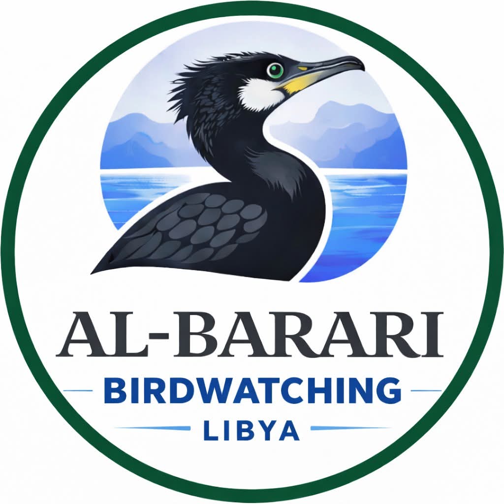 منظمة البراري تطلق مرصدًا علميًا لمراقبة الطيور في ليبيا