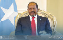 الرئيس الصومالي يؤكد التقدم في مواجهة التدخلات الخارجية