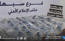 ضبط 185 متهمًا وكميات كبيرة من المخدرات في الجنوب خلال 2025