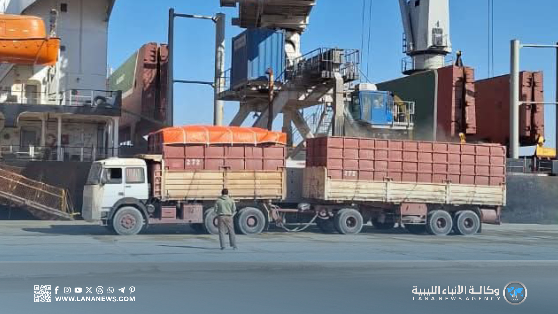 مدير الثروة الحيوانية يؤكد انتظام توزيع أعلاف الدفة رسميا