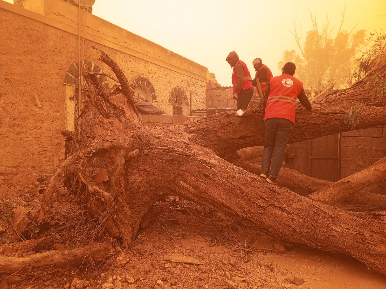 الهلال الأحمر يُخلي عائلة حاصرها سقوط أشجار داخل منزلها في الأبيار