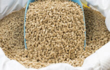 الحكومة الليبية تعلن قرب توزيع الأعلاف لمربي المواشي