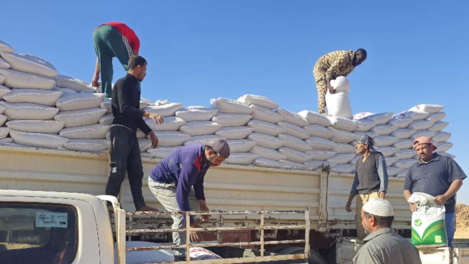 توزيع أعلاف مدعومة في الكفرة