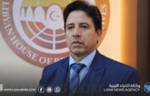 لجنة الخارجية بمجلس النواب تنظم ورشة للتكيف مع المناخ بالجنوب