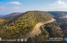 جلسة افتراضية تبحث سبل حماية الغابات والمراعي في الجبل الأخضر