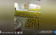 صندوق الزكاة سرت يُوّزع أكثر من 500 سلة رمضانية على الأسر المحتاجة