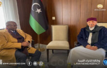 رئيس مجلس النواب يلتقي بسفير تشاد لتعزيز التعاون الثنائي