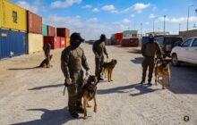 اللواء طارق بن زياد يضبط 93 كيلوجرامًا من مخدر الآيس في ميناء بنغازي