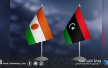 النيجر ترحب بتضامن ليبيا بعد هجوم مطار نيامي