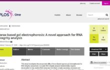 إنجاز علمي ليبي في تحليل الحمض النووي بجامعة سبها