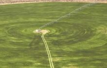 مشروع 87 الزراعي بسرت يحقق 80% من الإنجاز