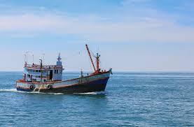 استقرار نسبي للأحوال البحرية على أغلب سواحل البلاد