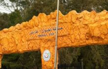 بورزيقة: غياب الوعي البيئي وراء الاعتداءات على حيوانات حديقة أبو سليم