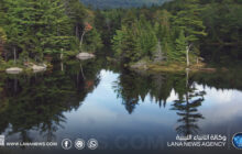 غابات الجبل الأخضر تواجه ضغوطًا بيئية وممارسات ضارة