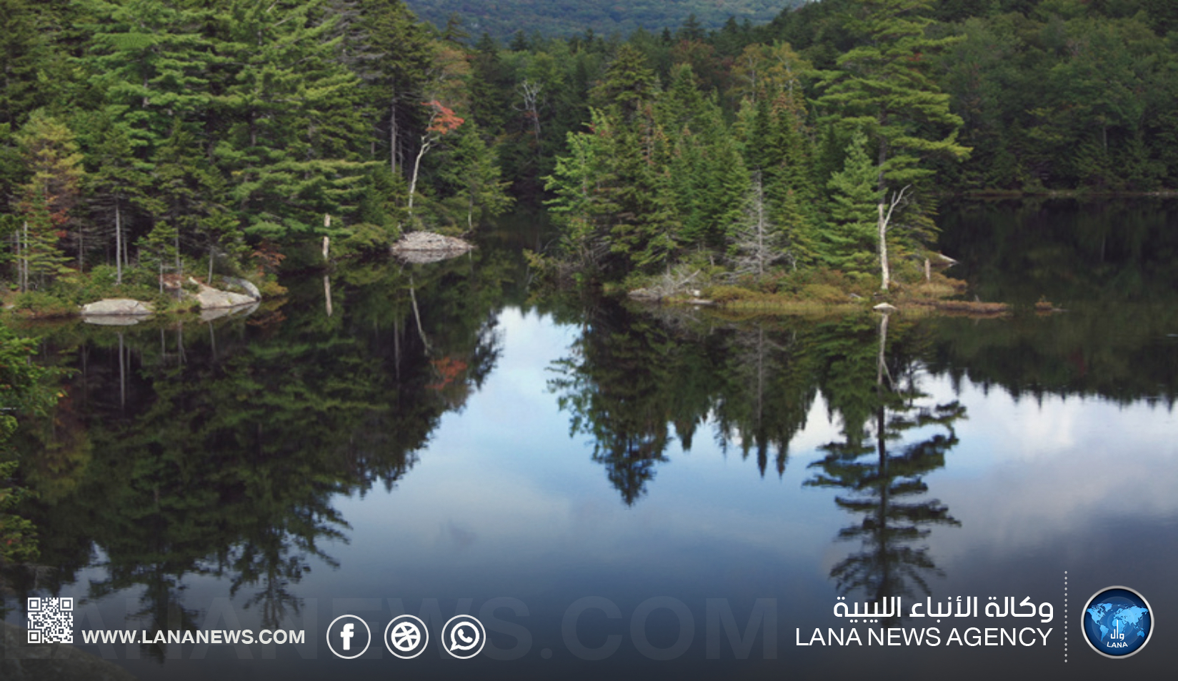 غابات الجبل الأخضر تواجه ضغوطًا بيئية وممارسات ضارة