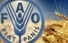 التضخم الغذائي يعود عالميًا.. تداعيات محتملة على الاقتصاد الليبي