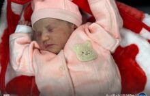 جهاز البحث الجنائي يستعيد مولودة مخطوفة في وقت قياسي