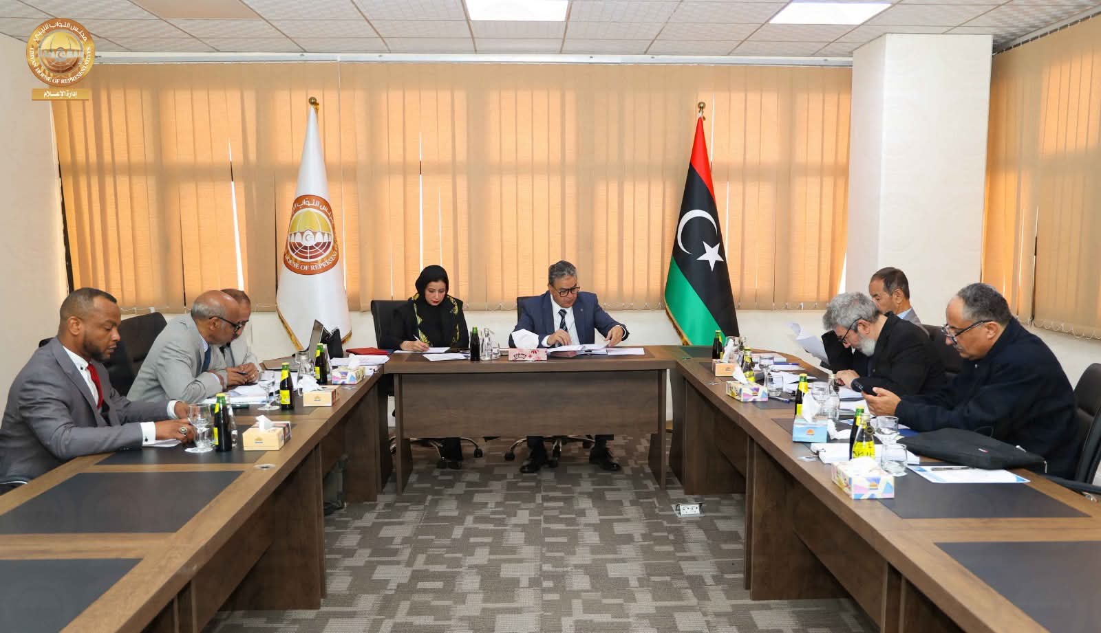 لجنة دراسة قانون المصارف والمنشآت المالية تستعرض الملاحظات الفنية والقانونية للمشروع