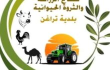 قطاع الزراعة ببلدية تراغن يتابع احتياجات المزارعين ويعمل على توفير شتلات
