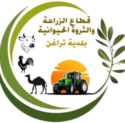 قطاع الزراعة ببلدية تراغن يتابع احتياجات المزارعين ويعمل على توفير شتلات