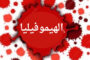 مجلس الأمن القومي الليبي: لا يُعتد بأي تصريحات غير صادرة عن القنوات الرسمية المعتمدة للمجلس