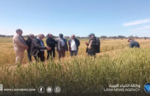 يزيارة علمية لتعزيزِ التعاون بين مركز البحوث الزراعية ومحطة مصراتة