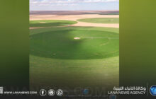 الجهاز الوطني للتنمية يُعيد إحياء مشروع الدبوات الزراعي في وادي الشاطئ