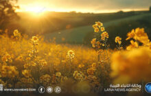 طقس ربيعي معتدل يسود البلاد