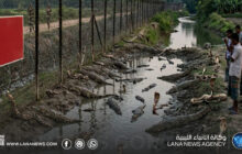 الهند تدرس استخدام الأفاعي والتماسيح للحد من الهجرة غير الشرعية