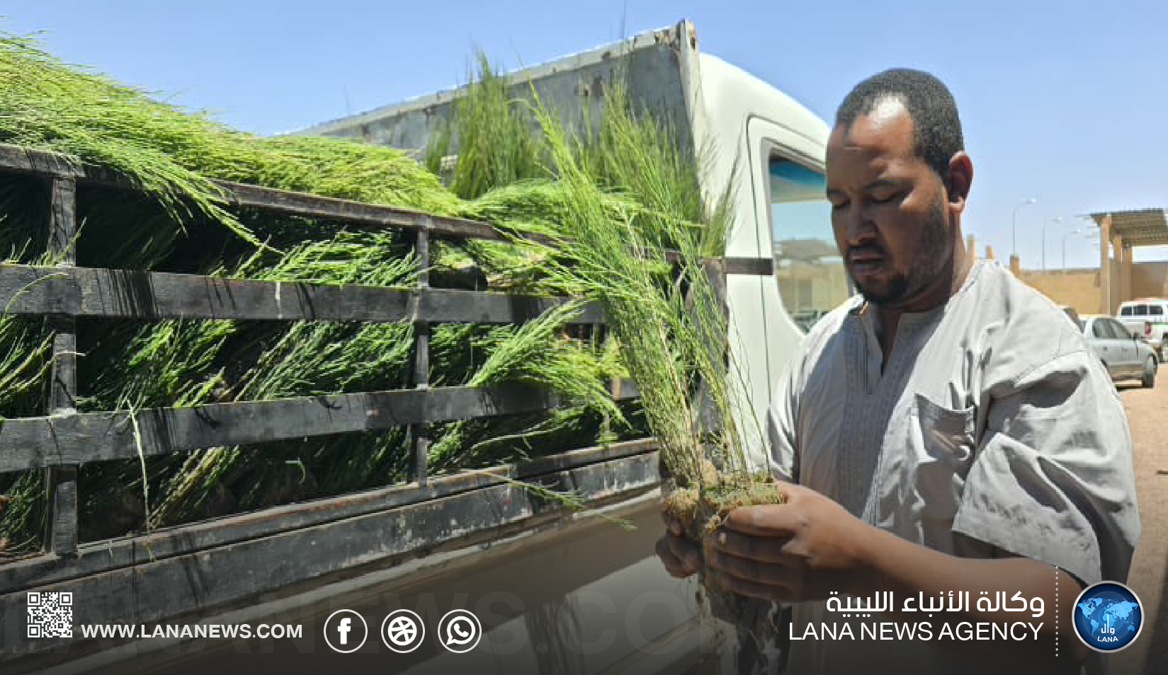 وصول أشجار لدعم الغطاء النباتي بتراغن