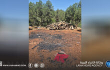 ضبط انتهاكات بيئية وزراعية شمال مدينة البيضاء 