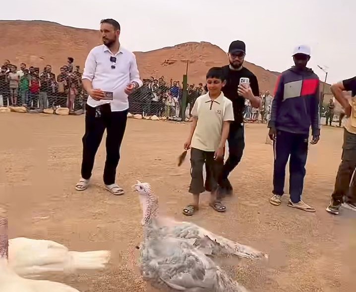 إطلاق حيوانات نادرة بمنتزه الوشكة السياحي بسوكنة