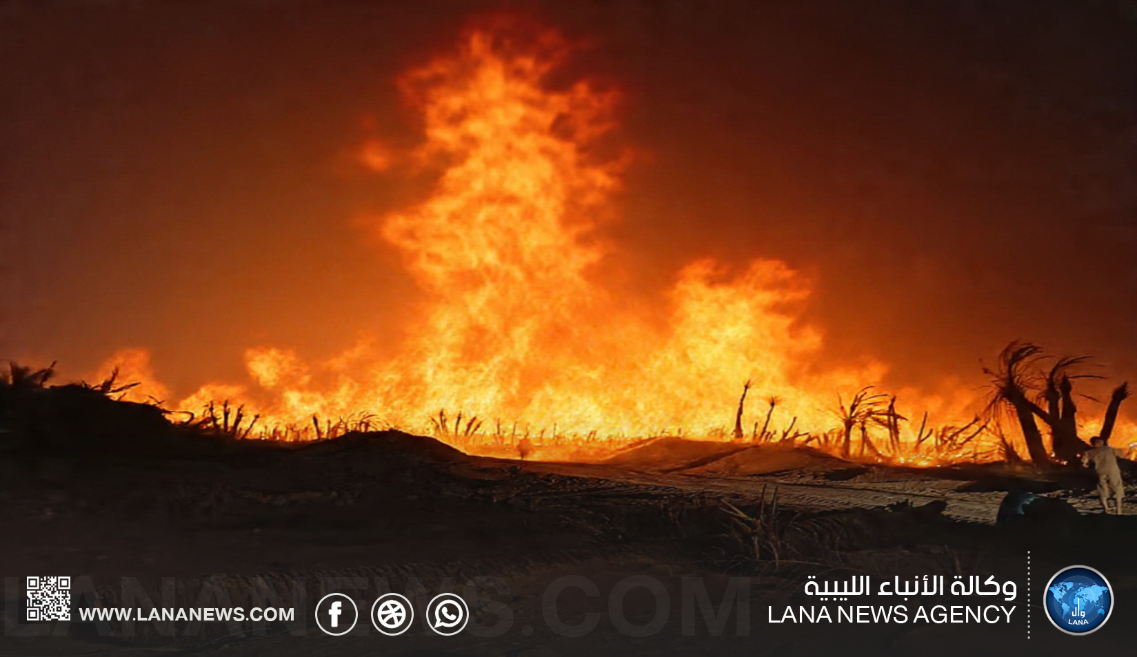 تجدد حرائق النخيل في تازربو وهيئة السلامة الوطنية  تحاول السيطرة