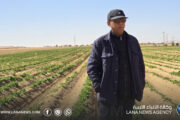 مشروع الكفرة الإنتاجي يعزز الإنتاج الزراعي والصناعي ضمن خطط دعم الأمن الغذائي