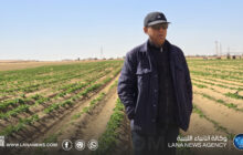 مشروع الكفرة الإنتاجي يعزز الإنتاج الزراعي والصناعي ضمن خطط دعم الأمن الغذائي