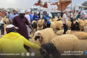 ركود في أسواق الأضاحي بالجبل الأخضر بسبب ارتفاع التكاليف
