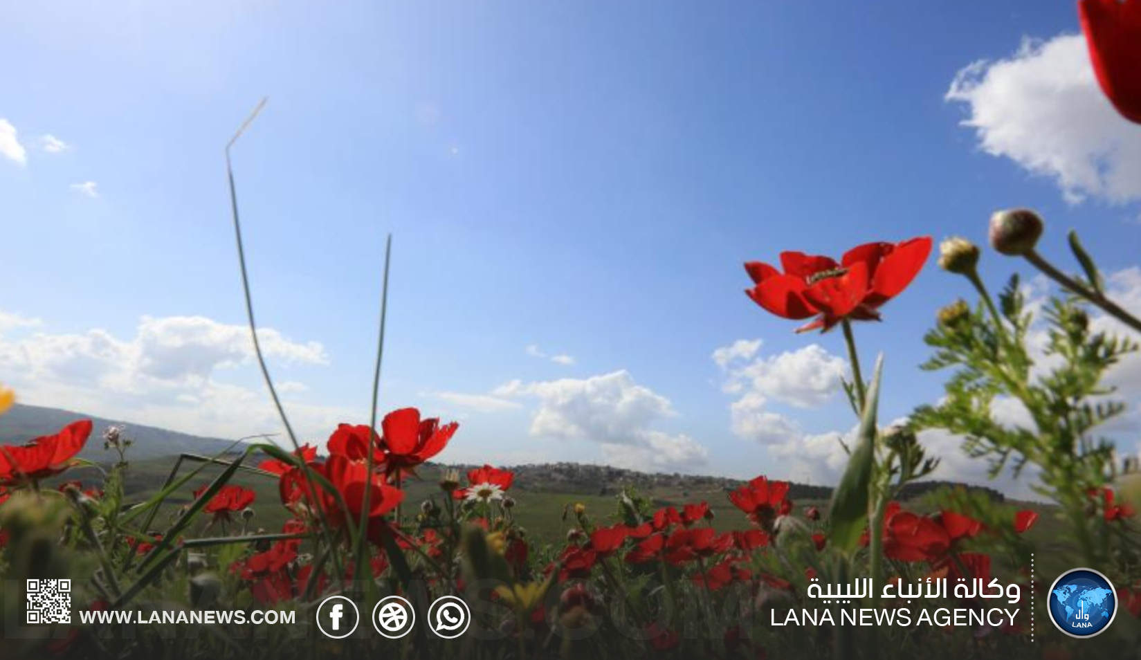 طقس مستقر وربيعي يسود معظم أنحاء البلاد