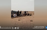 إطلاق 30 غزالًا ضِمن مُبادرة لتعزيزِ التنوع الحيوي في بني وليد